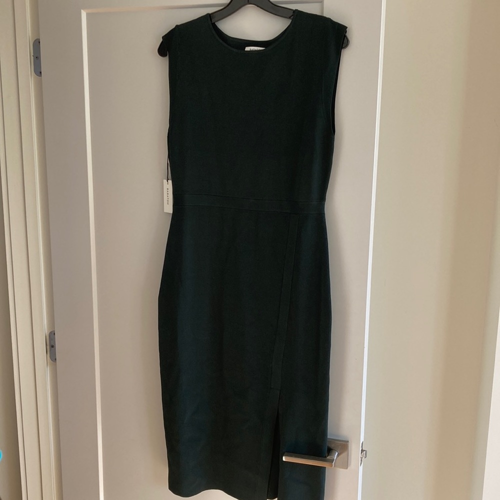 NWT Babaton bodycon dress